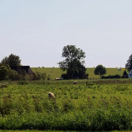 Deichblick *